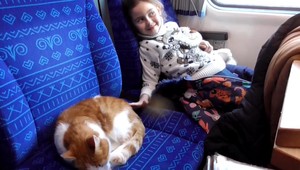 VIDEO: Vo vlaku s vojnovými utečencami sa viezol náš reportér TV JOJ