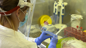 Slováci vynašli metódu, ktorá môže testovať ľudí na Covid-19 pomocou slín