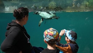 Slávna zoo odložila otvorenie. Zamestnanec údajne hodil telo svojej manželky do spaľovne