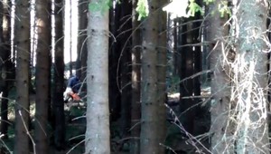 TANAP-om znejú motorové píly. Ľudia sa sťažujú na rozsiahly výrub lesov