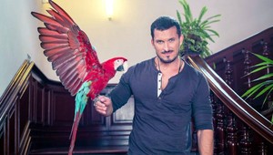 Papagáj Hugo zo ZOO je vlastne Ara, nadáva najmä v súkromí