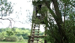 V lese pod stromom našli mŕtveho muža. Zrejme išlo o pytliaka