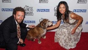 Hviezda seriálu Kosti je rozvedená