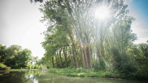 Pri jednom z najdôležitejších pitných zdrojov Slovenska ťažia drevo, má to pomôcť