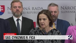 Tlačová beseda SaS: Kritika prieméra