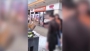 Jeleň zaútočil na ženu v Tatrách. Ochranári varujú pred kŕmením zveri