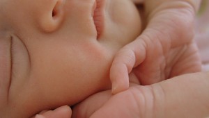 Strašný nález! V byte ležali štyri mŕtve bábätká