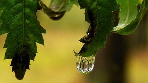 Teploty síce neklesnú, no pripoja sa k nim prehánky. Aký bude voľný utorok?