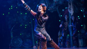 Vo filmovej adaptácii muzikálu Mačky budú samé veľké hviezdy! Dokonca aj tie popové!