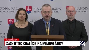 Tlačová beseda SaS: Útok koalície na mimovládky