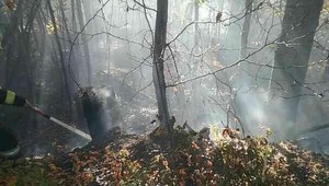 Desiatky hasičov bojujú s lesným požiarom