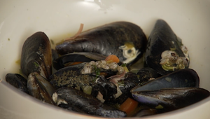 Hlavné jedlo: Casanova na plytčine