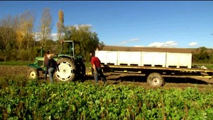 Slovensko sa pripravuje na klimatické zmeny: ministerstvo plánuje obnovu pôvodne odvodňovacích kanálov na poliach