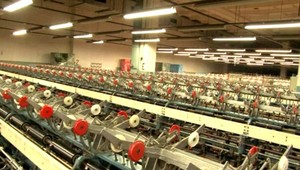 Problémová firma. Zamestnankyne zobrali všetko do vlastných rúk