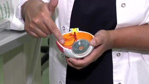 Pozor na letné horúčavy. Ak málo pijete vodu, možete si spôsobiť vážne poškodenie zraku