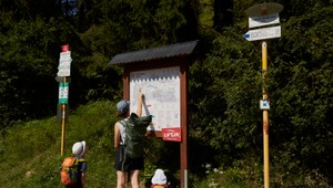 Jedlo v ruksaku ani voňavka medveďa neprilákajú. Táto častá chyba však môže