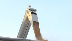 Zo slovenskej "brány" pre obilie je strategický dopravný uzol. Čaká ho modernizácia