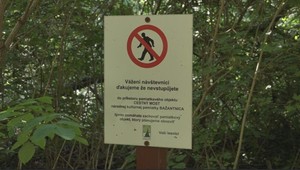 Barokový most sa čoskoro zrúti. Kto zachráni unikátnu pamiatku?