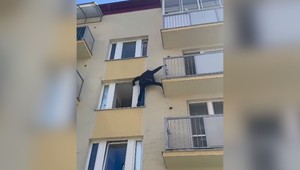 VIDEO: Polícia odhalila medzinárodne hľadaného muža. Liezol po balkóne v Senici