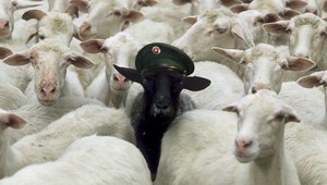 Čierne ovce medzi policajtami. Ide po nich inšpekcia