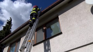 Napínavá záchrana chlpatého miláčika