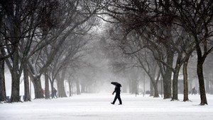 Teplo alebo mráz. Pozrite sa, aké bude počasie