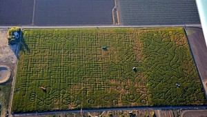 Návštevníci sa stratili v najväčšom bludisku na svete