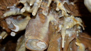 O neprístupnú hradnú jaskyňu v Divíne sa začala zaujímať polícia