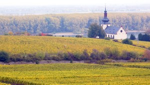 Tínedžer nesmie šoférovať auto ani po poľnej ceste