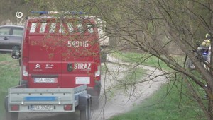 Tragédia pri slovenských hraniciach: Medveď zabil ženu (†58), syn počul jej krik