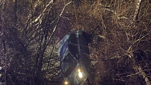 Hasiči museli osobné auto po nehode vyslobodiť z korún stromov