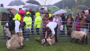 Na Kysuciach zorganizovali akciu, ktorá patrí k chovu oviec