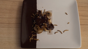 Dezert: Predskokan Beatlesu