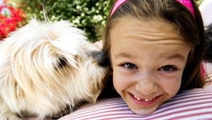 Deti aj psíky v Nitre ohrozené! Na tráve je rozsypaný jed