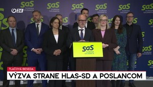 Tlačová beseda strany SaS: Výzva strane SaS a poslancom