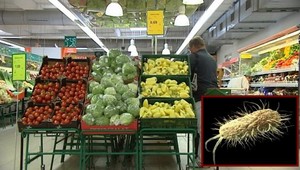 Črevný zabijak je vo fazuľových výhonkoch z nemeckého Ulzenu!