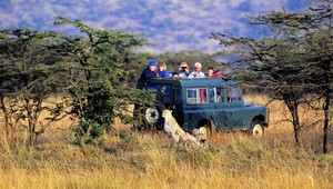 NA VLASTNEJ KOŽI: Safari? Treba si dať pozor...