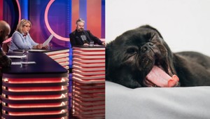 Ako vyzerá najnudnejší človek na svete? Vedci prišli s odpoveďou: Predstavujete si ho TAKTO?