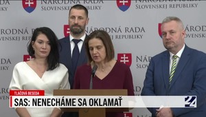 Tlačová beseda SaS: Nenecháme sa oklamať