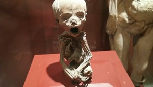 Kričiace múmie z masového hrobu odhaľujú hrôzostrašnú pravdu