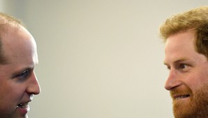 Harry a William majú skutočne nečakaný plán! Dohodli sa na TOMTO!