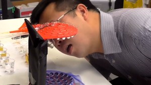 Ste kulinársky odvážlivec? Už o pár rokov k vám jedlo môže priletieť