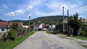 Sása