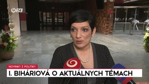 Tlačová beseda Ireny Bihariovej k aktuálnym témam