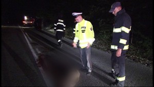 Do cesty im vbehol diviak, pomoc neprichádzala...