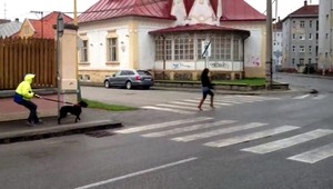 ZÁZNAM: Pes útočí na ženu, je za tým úmysel!