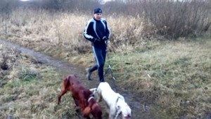 Psy viceprimátora Popradu mali roztrhať mladého srnca. Poľovníkom sa vyhrážal