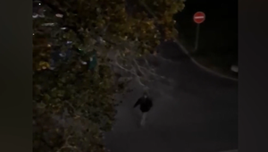 Opitý mladík vyčíňal pri internáte. Rozbil dvere a vykrikoval, že študentov zabije