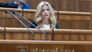 Parlament bude o odvolávaní ministerky kultúry Šimkovičovej rokovať až v septembri