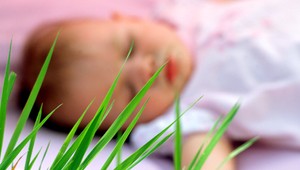 Rodičia zanedbávali Anetku (†1), zomrela na podvýživu